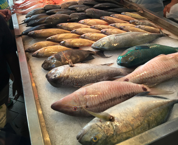An assortment of fresh fish at a local outdoor market. Fishing is a top income producer in French Polynesia, just below tourism and pearl farming. Rangiroa, Tuomotu Islands. September 2016. Photo: F. Rehnborg