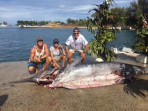 Paul, Els and me with the catch of the day, a record-breaking blue marlin weighing in at 533 kilos. Raiatea, French Polynesia. October 2016. Photo: F. Rehnborg