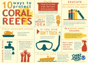 10 Ways to Protect Coral Reefs infographic