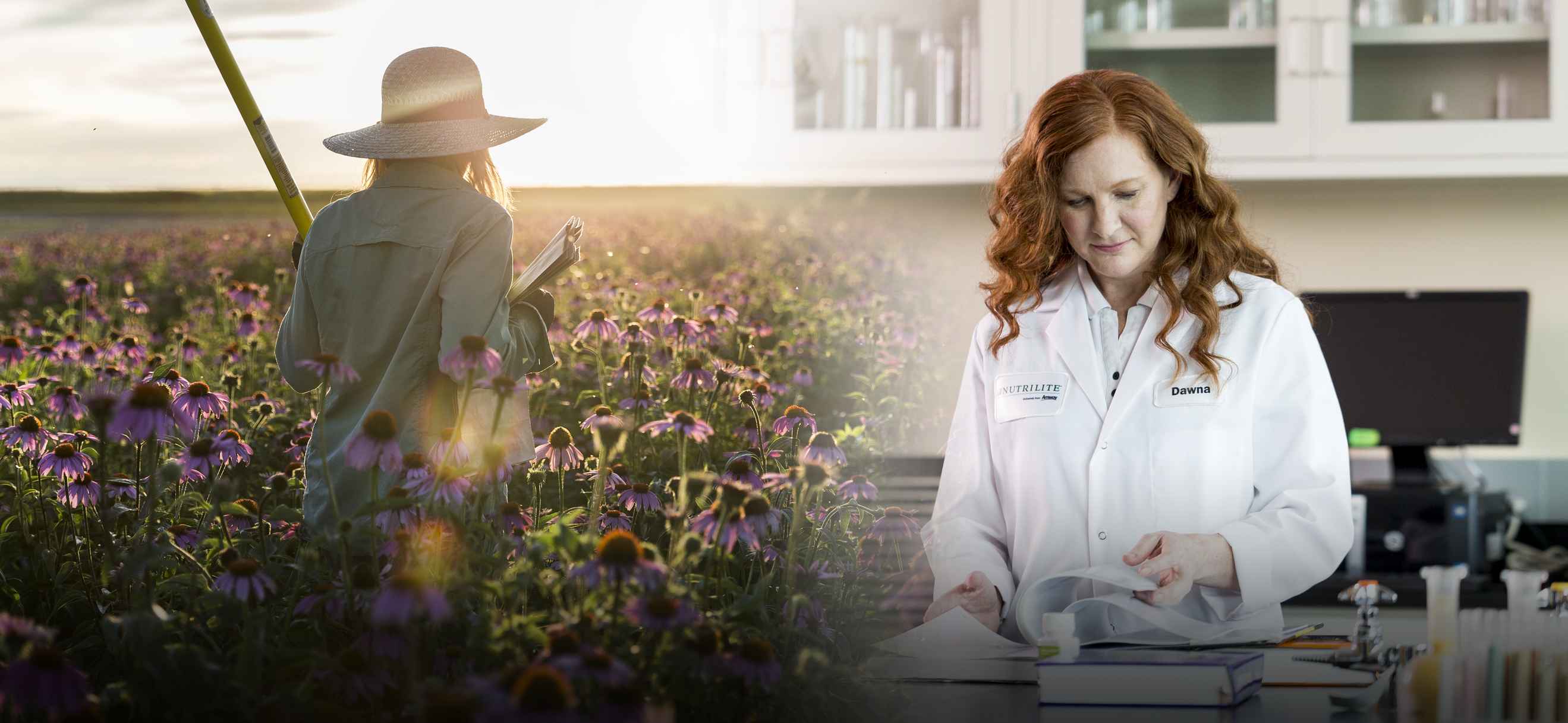 Field researcher Jessica Corcoran walks the echinacea field at Trout Lake West and Principal Research Scientist Dawna Venzon, PhD, RD, reviews literature in the lab. Hundreds of employees work together to ensure Nutrilite™ brand supplements are pure, safe and effective.