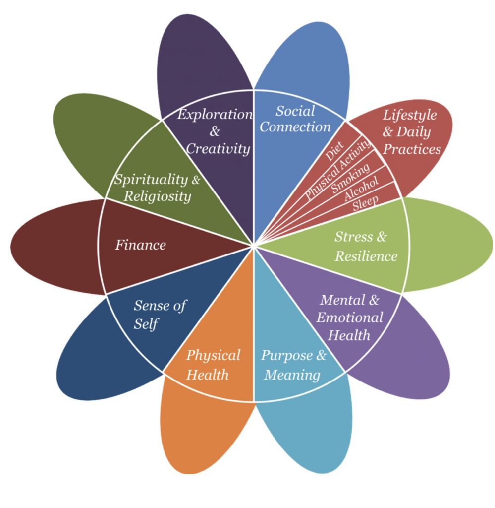 The WELL Flower includes the 10 domains of well-being: (1) social connectedness; (2) lifestyle behaviors; (3) stress and resilience; (4) emotions and mental health; (5) physical health; (6) purpose and meaning in life; (7) sense of self; (8) financial security; (9) spirituality and religiosity; and (10) exploration and creativity.