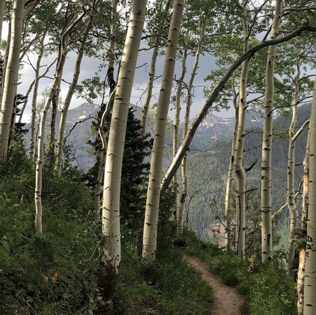 The hike continues and is rewarded with this beautiful view of the Rocky Mountains. Telluride, Colo. July 2020. Photo: F. Rehnborg