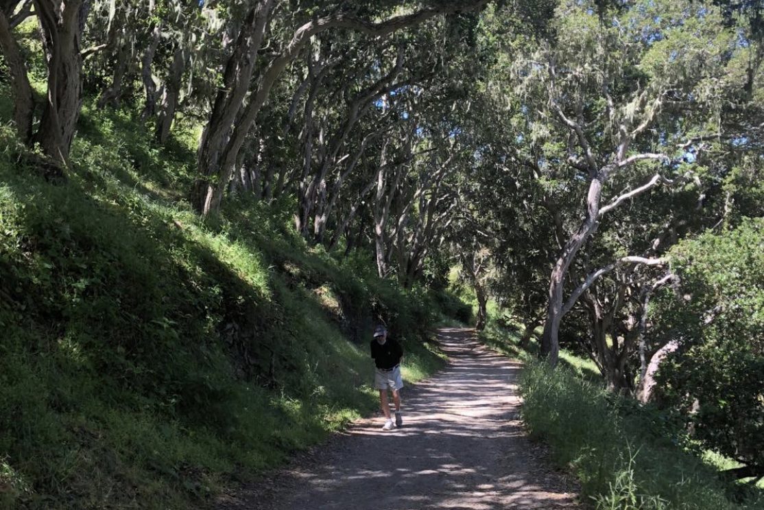Lost in thought while taking a hike in the beautiful hills of Carmel, Calif. May 2020. Photo: F. Rehnborg