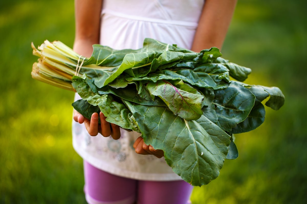 Young girl holds a bunch of leafy greens. Children who eat more vegetables when they are between the age of 2 and 5 years tend to make this a lifelong habit.
