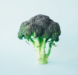 Broccoli floret. Broccoli is loaded with vitamins, minerals, fiber and phytonutrients with tongue-twister names such as zeaxanthin, isothiocyanates and glucosinolates.