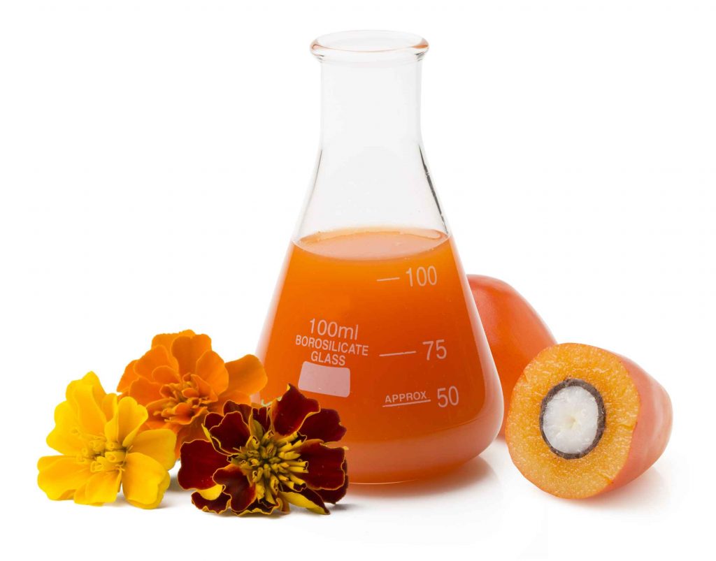 An Erlenmeyer flask brimming with colorful carotenoids. New research reveals these colorful plant compounds have skin health benefits.