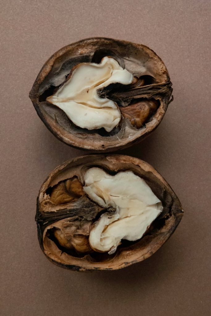 Walnuts tucked within a shell. Walnuts are a source of heart-healthy fats.