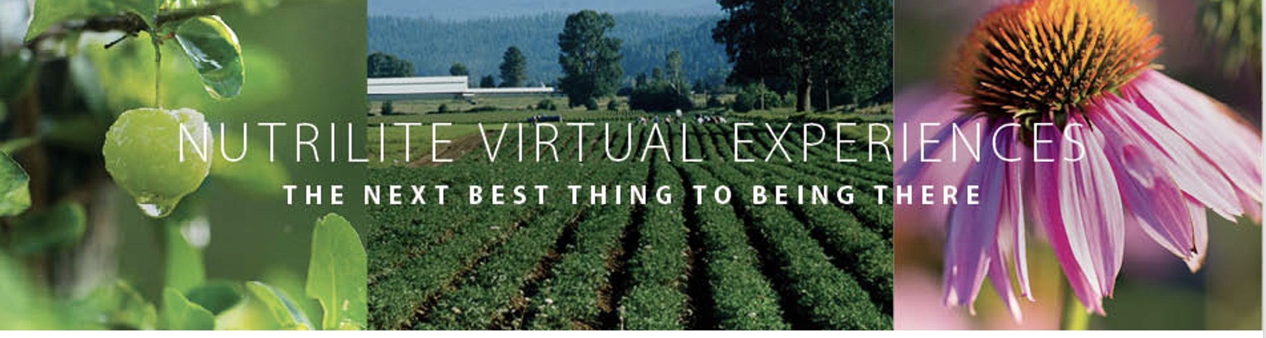 Nutrilite Virtual Experiences: The next best thing to being there.