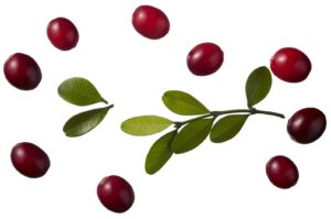 Cranberries are a rich source of polyphenols making them a good choice in a healthful diet.