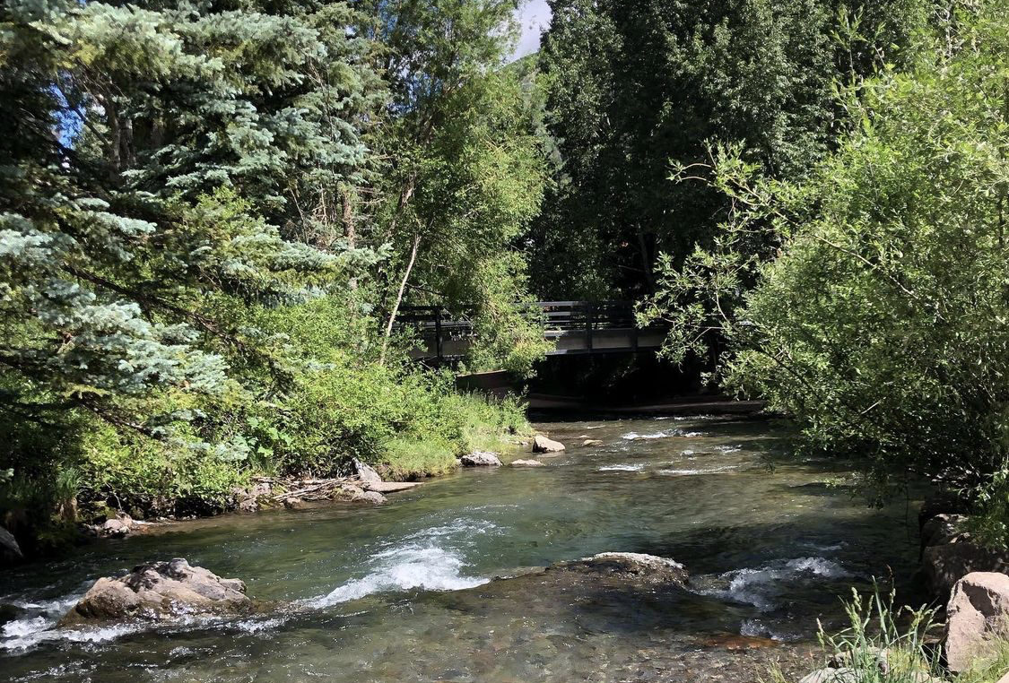 A babbling brook surrounded by lush trees on one of my favorite nature trails. Getting outside in nature is a great way to slow down and destress. Telluride, Colo. June 2021. Photo: F. Rehnborg