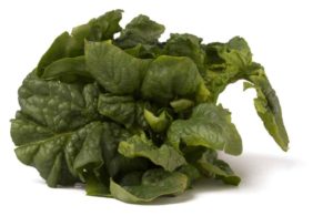 Leafy Spinach